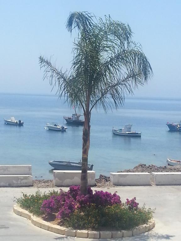 casa indipendente in affitto a Petrosino