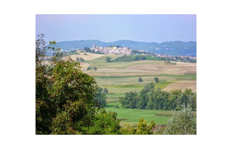appartamento in affitto a Tonco