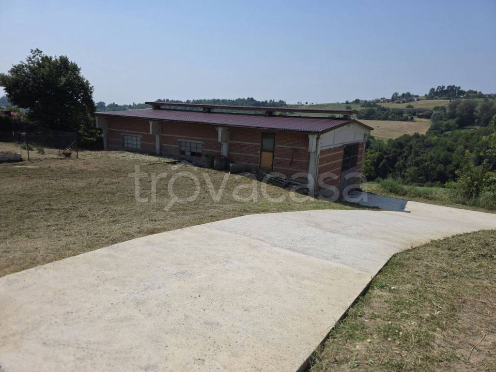 appartamento in affitto a Montiglio Monferrato