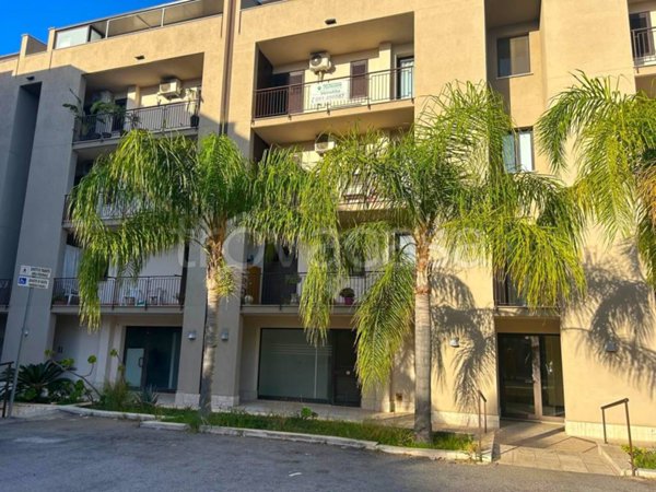 immagine annuncio 0 di 15