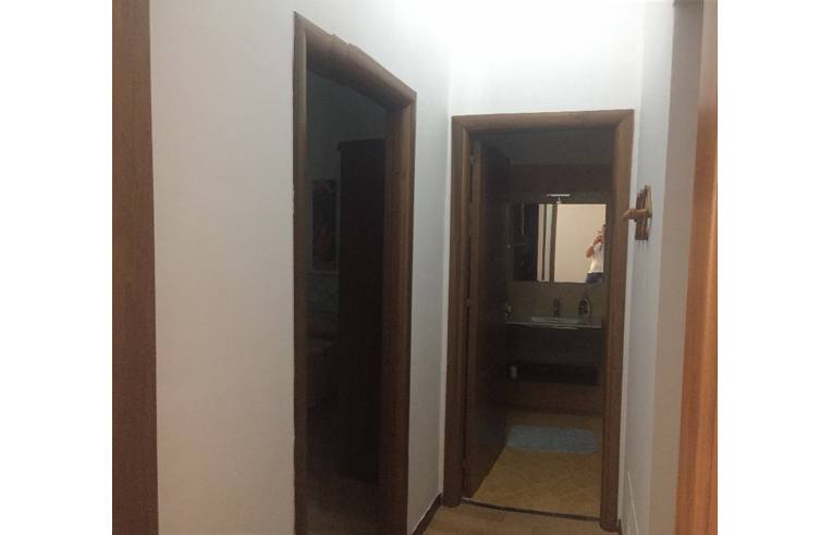 casa indipendente in affitto a Balestrate