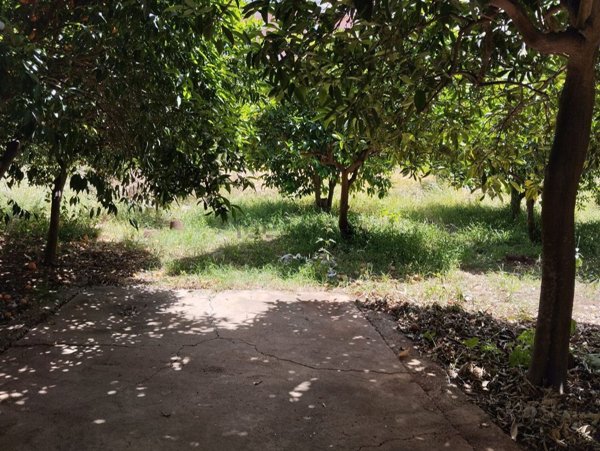 appartamento in affitto a Capaci