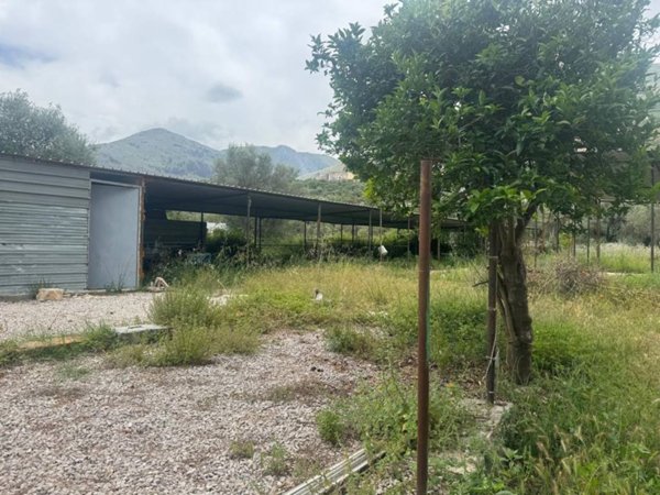 terreno agricolo in affitto a Carini