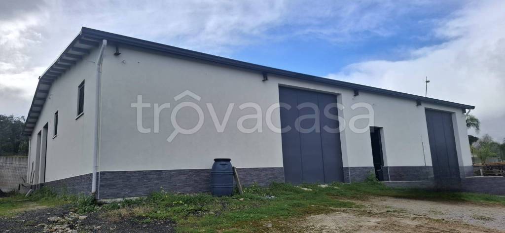 locale commerciale in affitto a Carini in zona Bivio Foresta