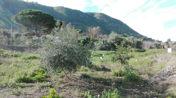 terreno agricolo in affitto a Cefalù