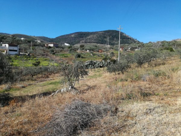 terreno agricolo in affitto a Misilmeri