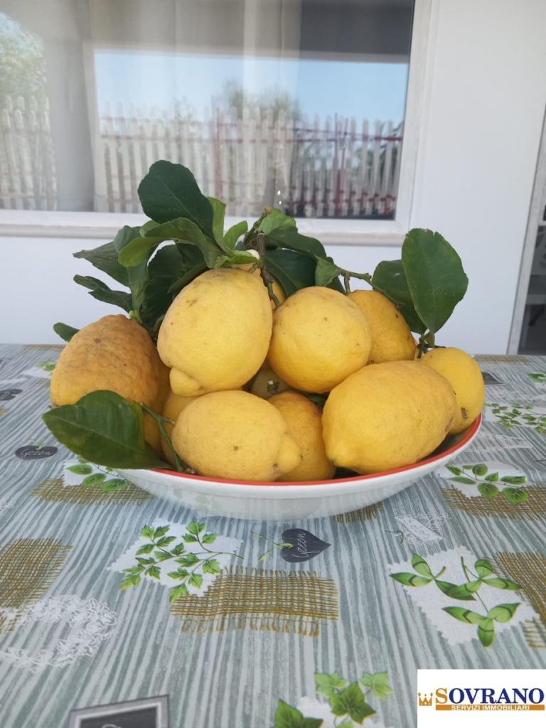 appartamento in affitto a Palermo in zona Centro storico