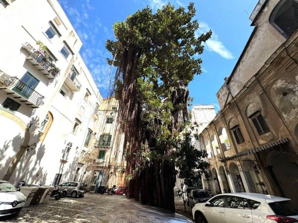 negozio in affitto a Palermo in zona Centro storico
