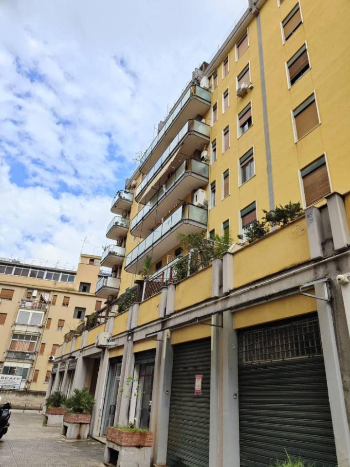 appartamento in affitto a Palermo in zona Borgo Nuovo