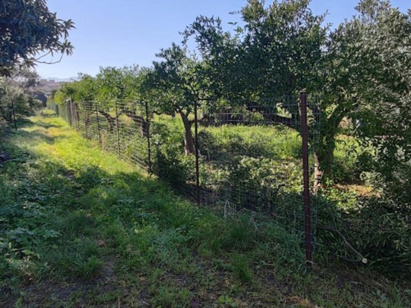 terreno agricolo in affitto a Palermo in zona Cruillas