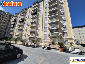 appartamento in affitto a Palermo