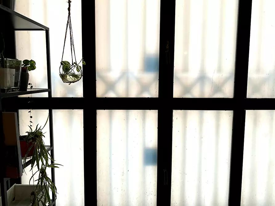 appartamento in affitto a Palermo
