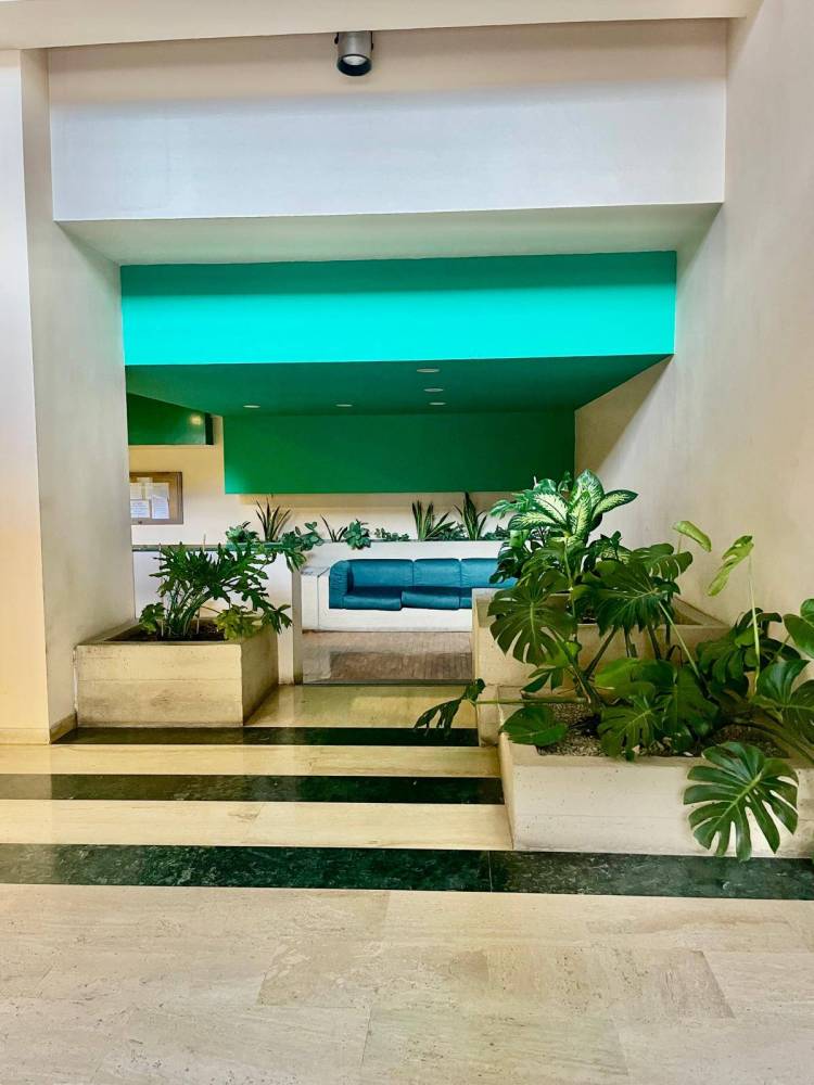 appartamento in affitto a Palermo in zona San Lorenzo