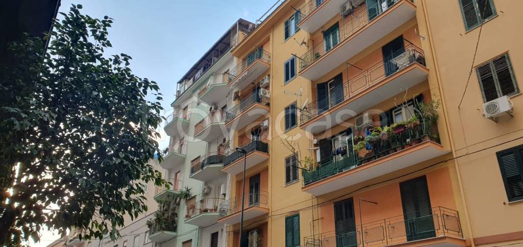appartamento in affitto a Palermo in zona Centro storico