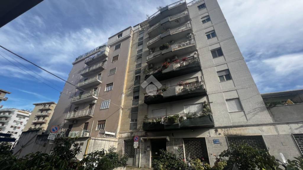 appartamento in affitto a Palermo