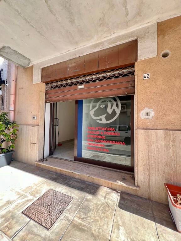 casa indipendente in affitto a Palermo in zona San Lorenzo