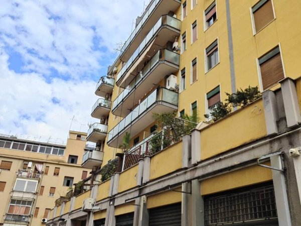 appartamento in affitto a Palermo in zona Borgo Nuovo