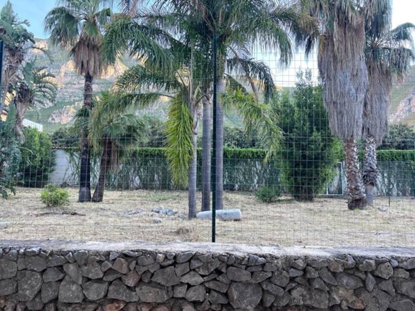 appartamento in affitto a Palermo in zona Centro storico