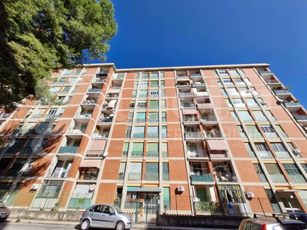 appartamento in affitto a Palermo in zona Boccadifalco