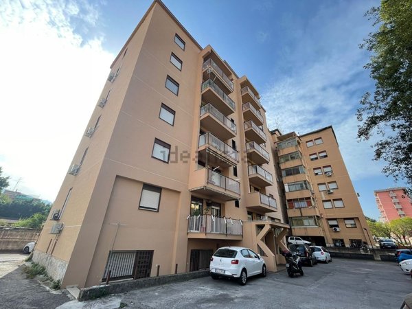 appartamento in affitto a Palermo in zona Montegrappa / Santa Rosalia