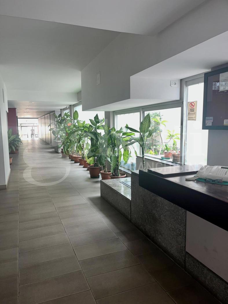 appartamento in affitto a Palermo