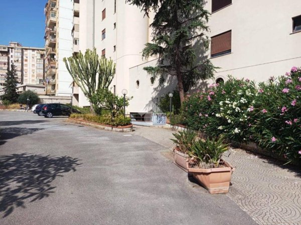 appartamento in affitto a Palermo in zona Montegrappa / Santa Rosalia