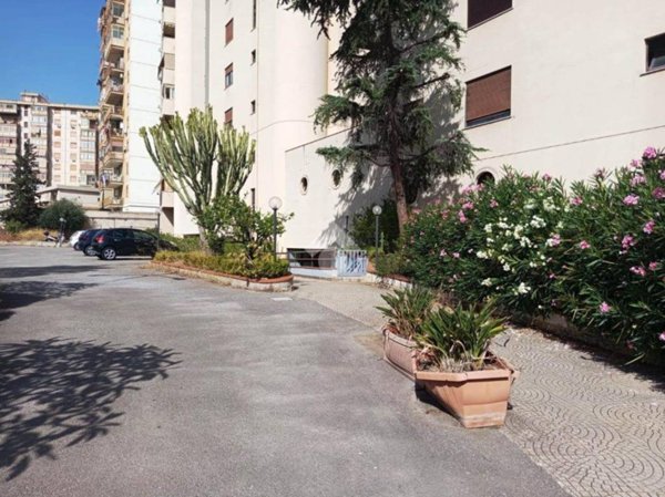 appartamento in affitto a Palermo in zona Montegrappa / Santa Rosalia