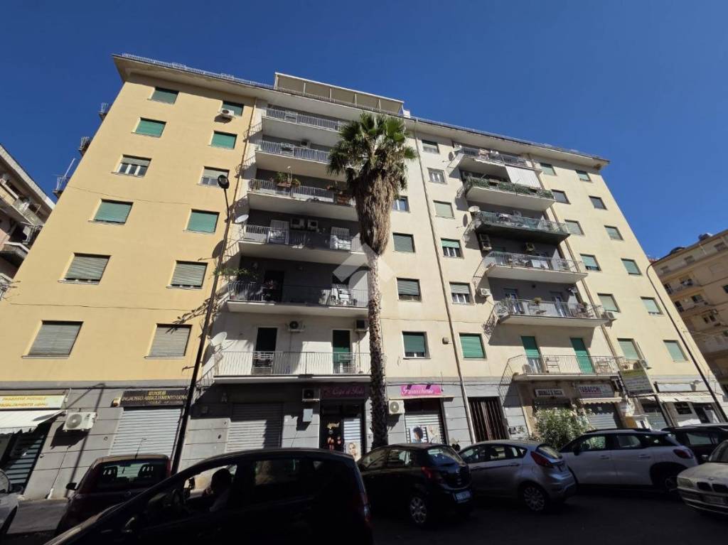 appartamento in affitto a Palermo