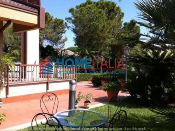 casa indipendente in affitto a Palermo in zona Centro storico