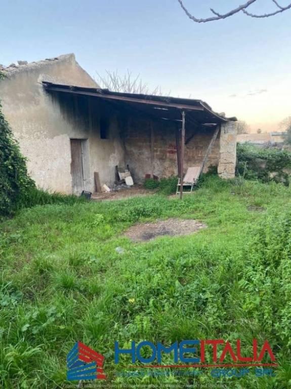 negozio in affitto a Palermo in zona Centro storico