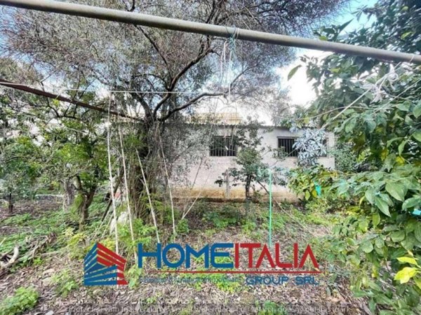 terreno agricolo in affitto a Palermo in zona Centro storico