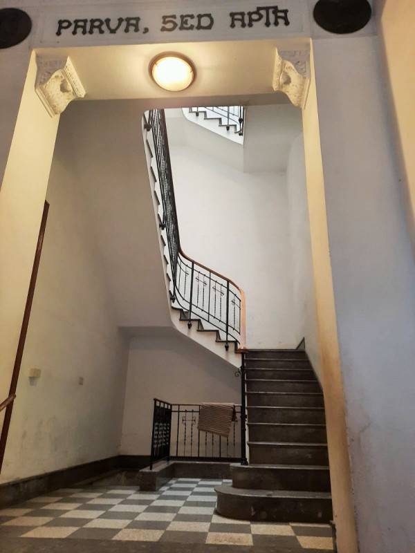 appartamento in affitto a Palermo