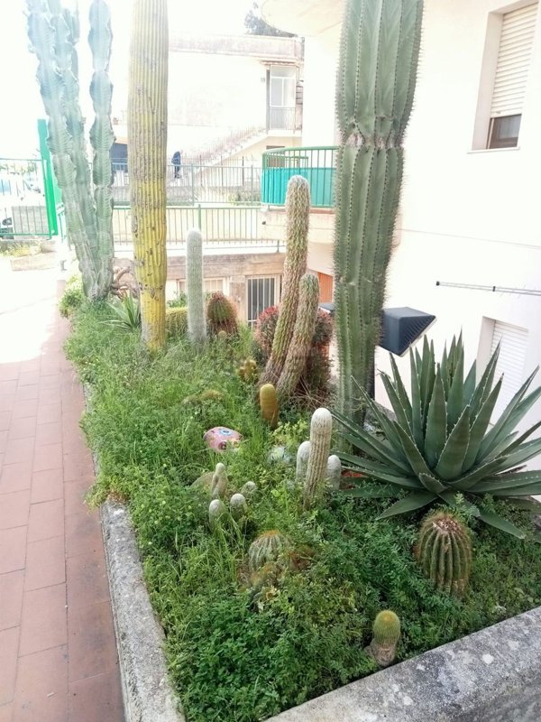 appartamento in affitto a Palermo in zona Baida
