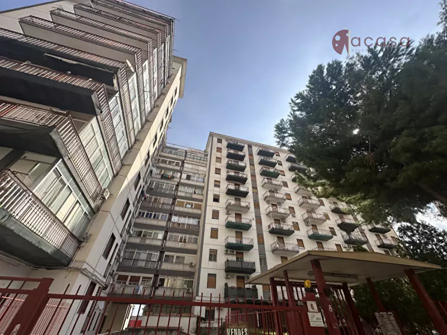 appartamento in affitto a Palermo in zona Centro storico