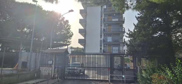 appartamento in affitto a Palermo in zona Centro storico