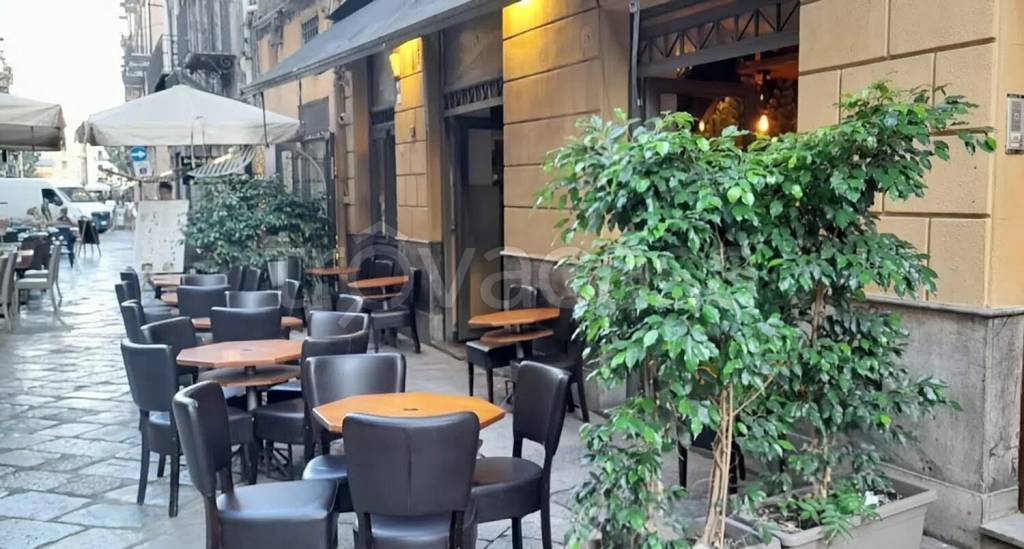 quadrivano in affitto a Palermo