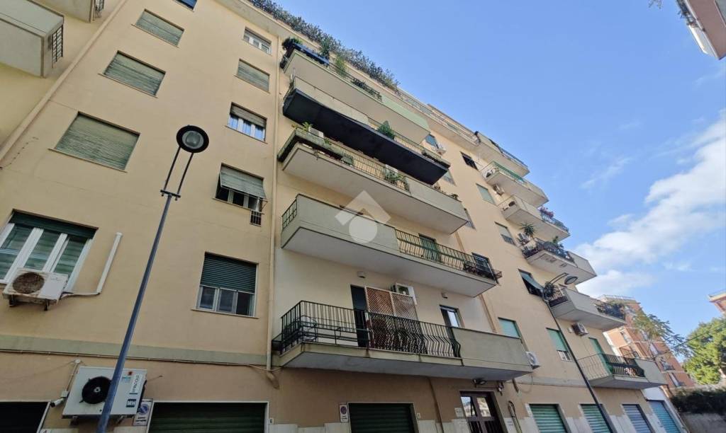 appartamento in affitto a Palermo