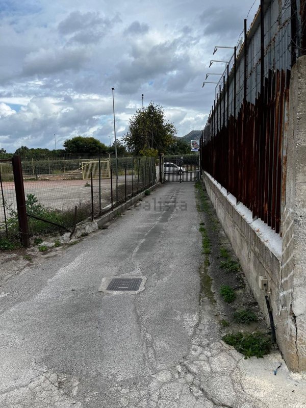 ufficio in affitto a Palermo