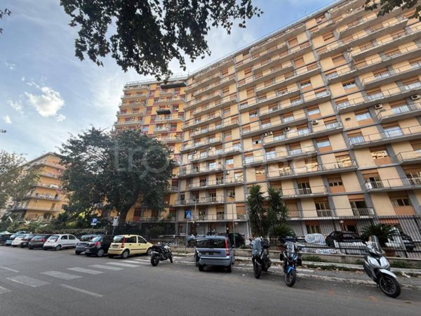 appartamento in affitto a Palermo