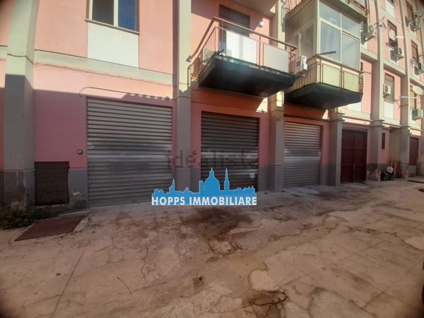 casa indipendente in affitto a Palermo in zona San Lorenzo