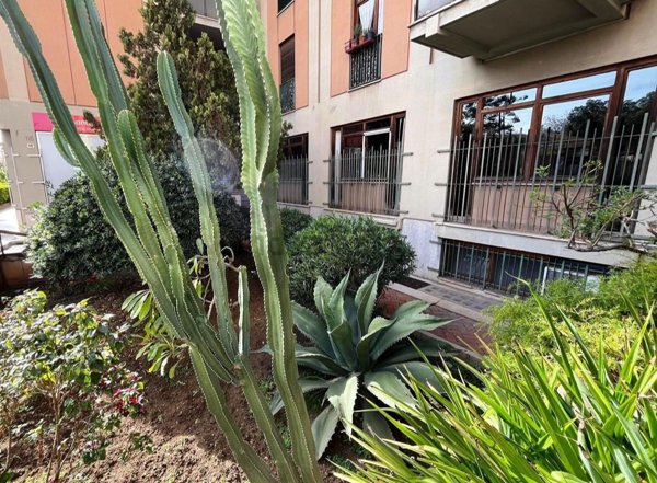 ufficio in affitto a Palermo in zona Malaspina/Palagonia