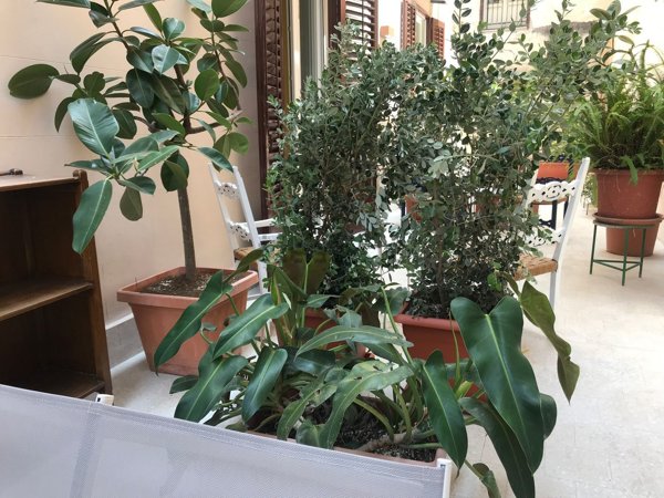 appartamento in affitto a Palermo in zona Politeama