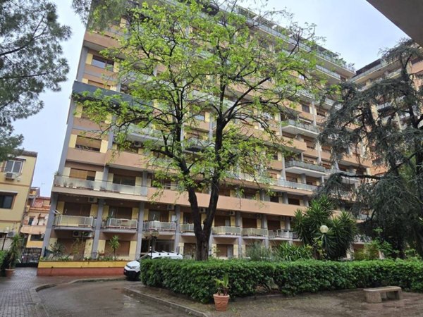 appartamento in affitto a Palermo in zona Malaspina/Palagonia