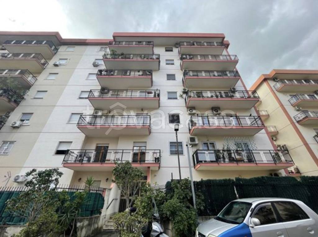 appartamento in affitto a Palermo