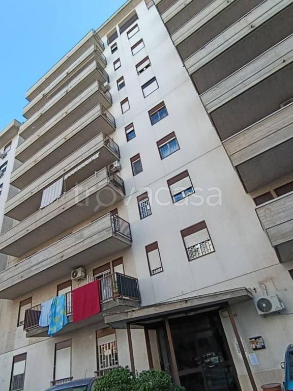 appartamento in affitto a Palermo