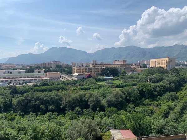 appartamento in affitto a Palermo in zona Montegrappa / Santa Rosalia