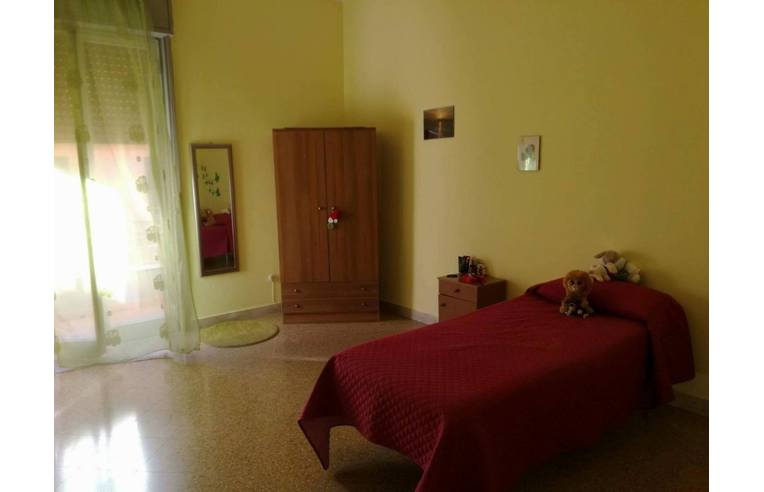 immagine annuncio 0 di 7