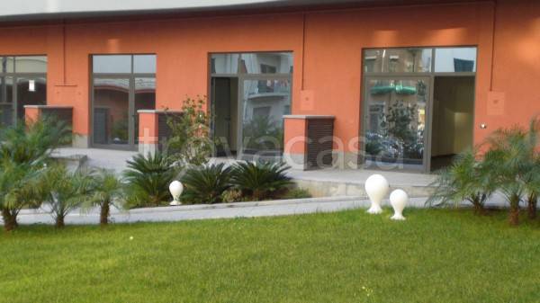 appartamento in affitto a Palermo