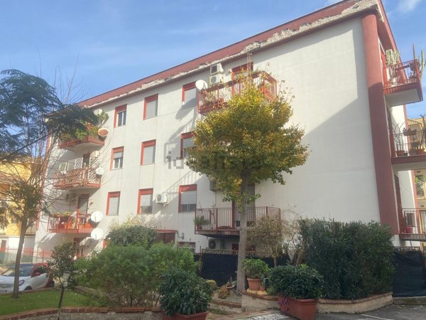 appartamento in affitto a Palermo in zona San Lorenzo