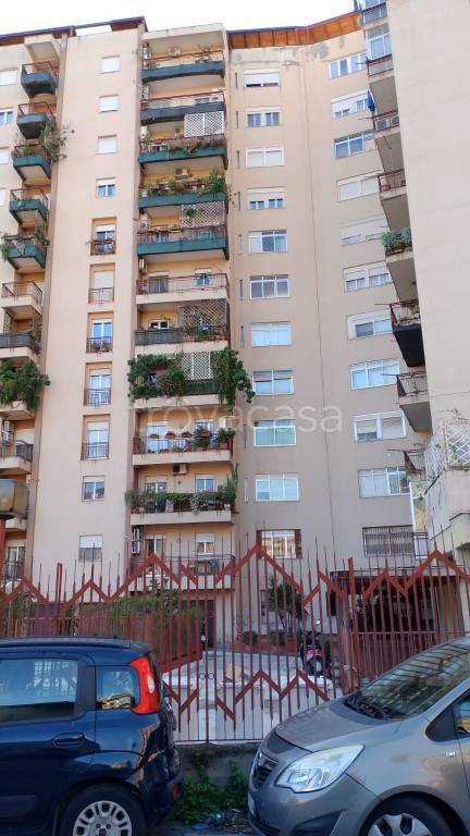 appartamento in affitto a Palermo in zona Centro storico